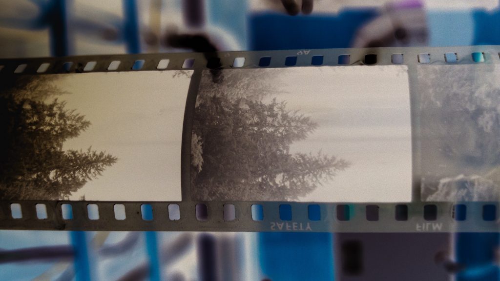 Developing Your Film At Home Is Surprisingly Easy And You Should Try It ...